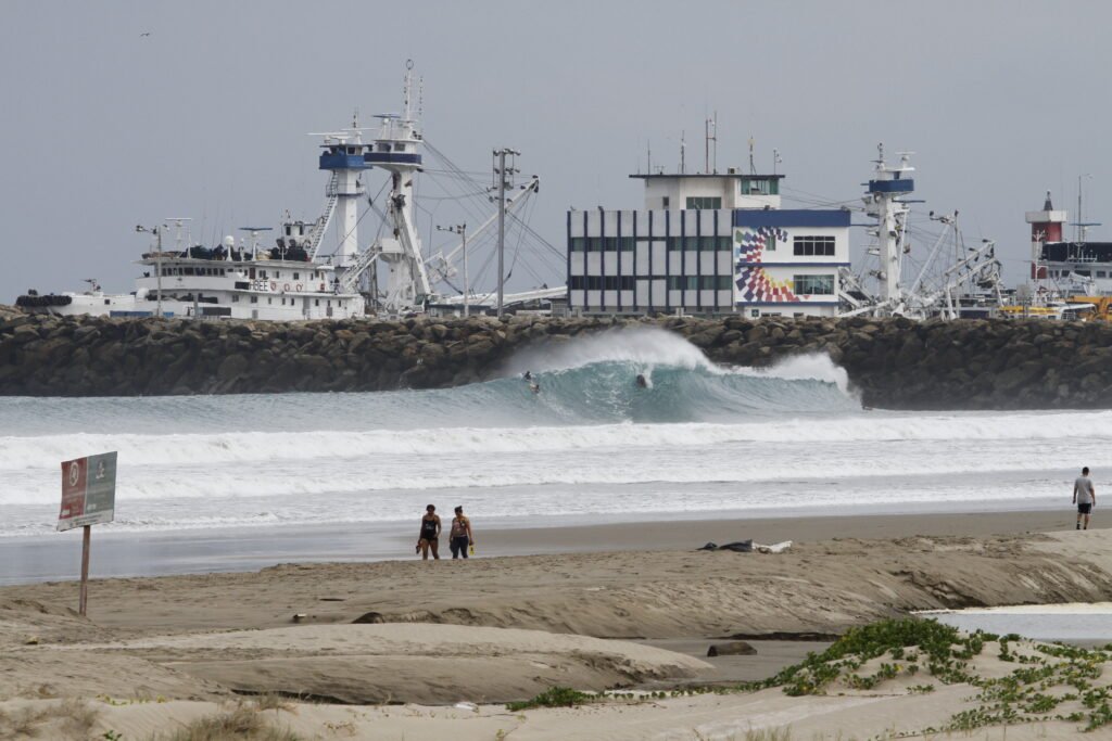 Wave at Manta city Wedge
