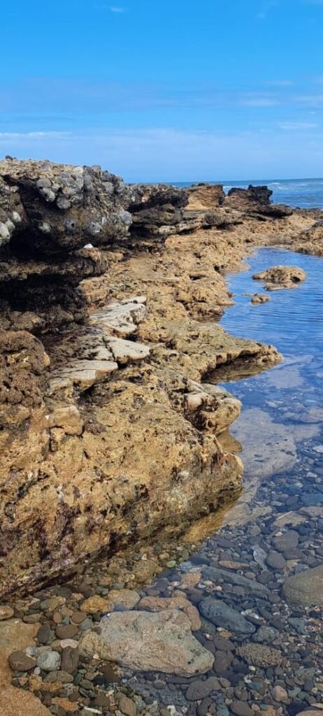 Rocky Reef at Manta