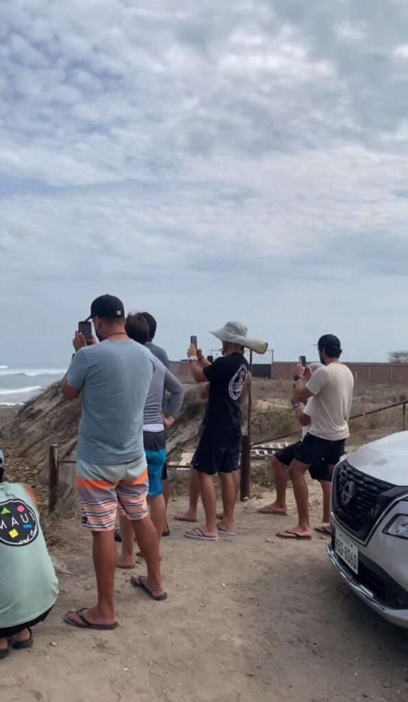Crowd Watching The Reef Break