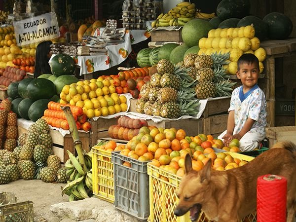 Ecuadorian Fruit Stand